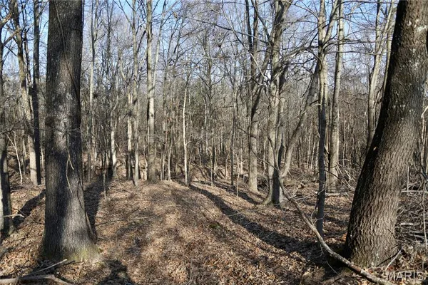 $2,600,000 | 0 Kedron Road, Equality, IL 62934