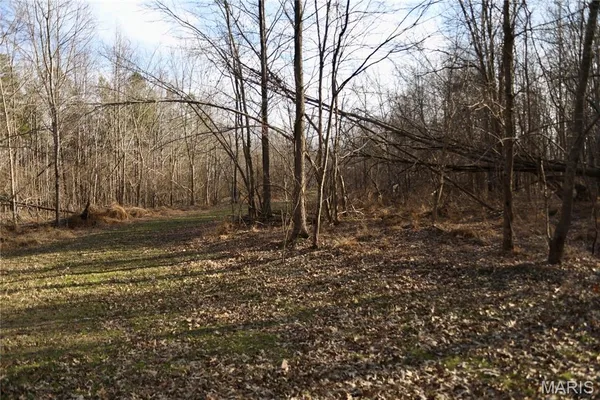 $2,600,000 | 0 Kedron Road, Equality, IL 62934