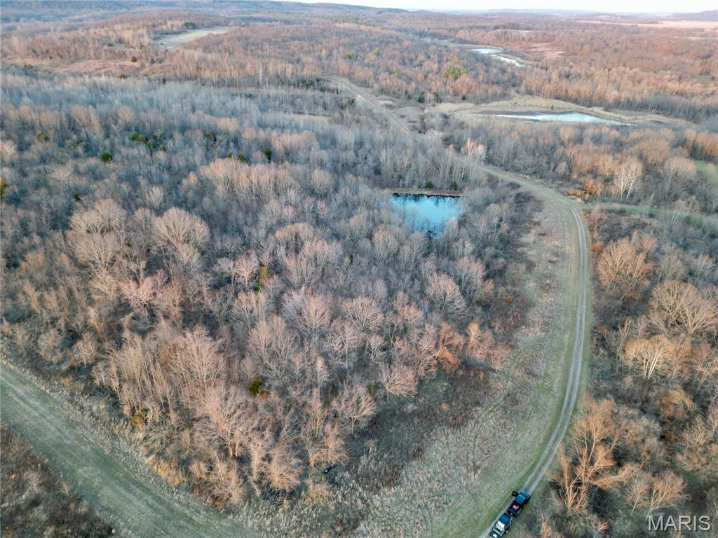 0 Kedron Road Equality, IL 62934 - Photo 4 of 70