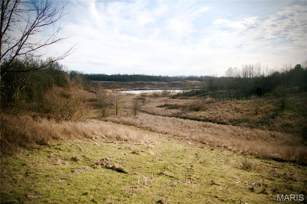 0 Kedron Road Equality, IL 62934 - Photo 41 of 70