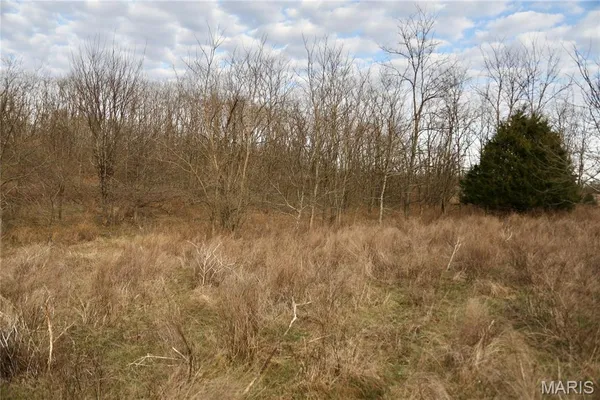 $2,600,000 | 0 Kedron Road, Equality, IL 62934