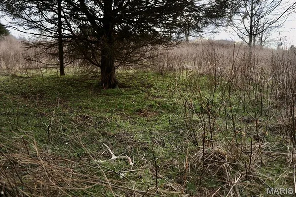 $2,600,000 | 0 Kedron Road, Equality, IL 62934