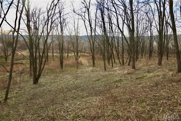 $2,600,000 | 0 Kedron Road, Equality, IL 62934