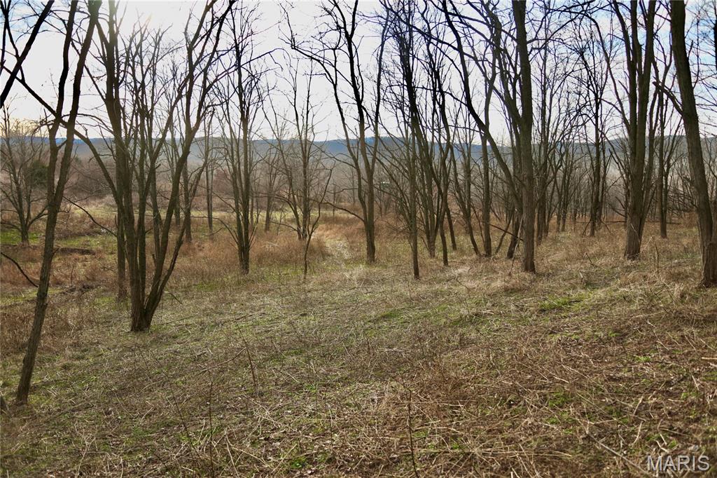 0 Kedron Road Equality, IL 62934 - Photo 44 of 70