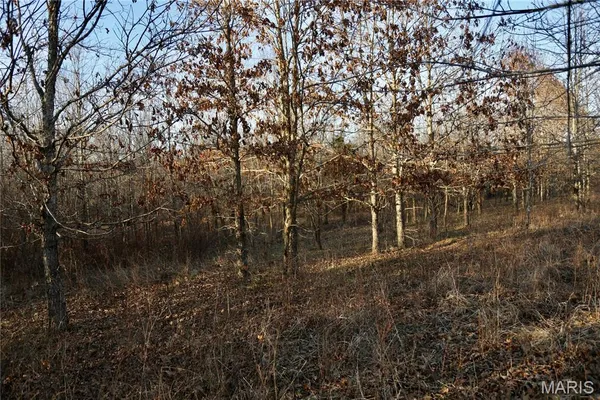 $2,600,000 | 0 Kedron Road, Equality, IL 62934