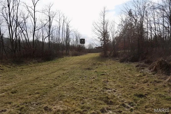 $2,600,000 | 0 Kedron Road, Equality, IL 62934