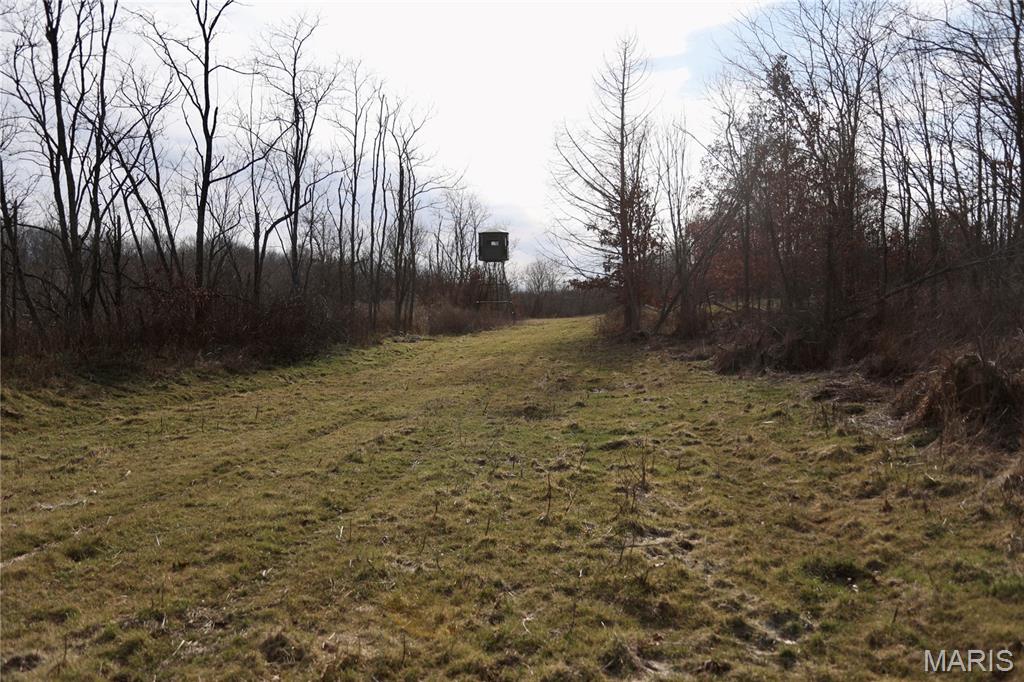 0 Kedron Road Equality, IL 62934 - Photo 46 of 70