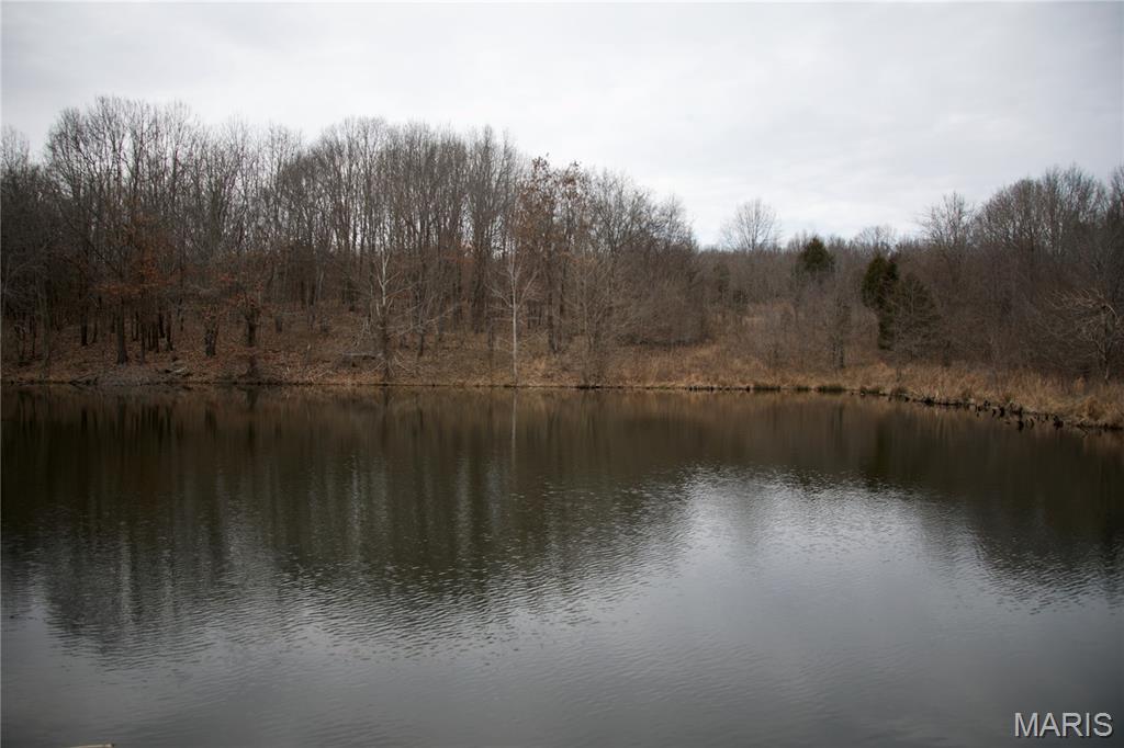 0 Kedron Road Equality, IL 62934 - Photo 48 of 70