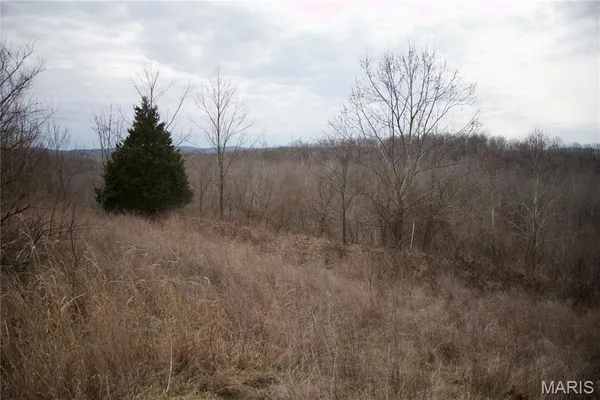 $2,600,000 | 0 Kedron Road, Equality, IL 62934