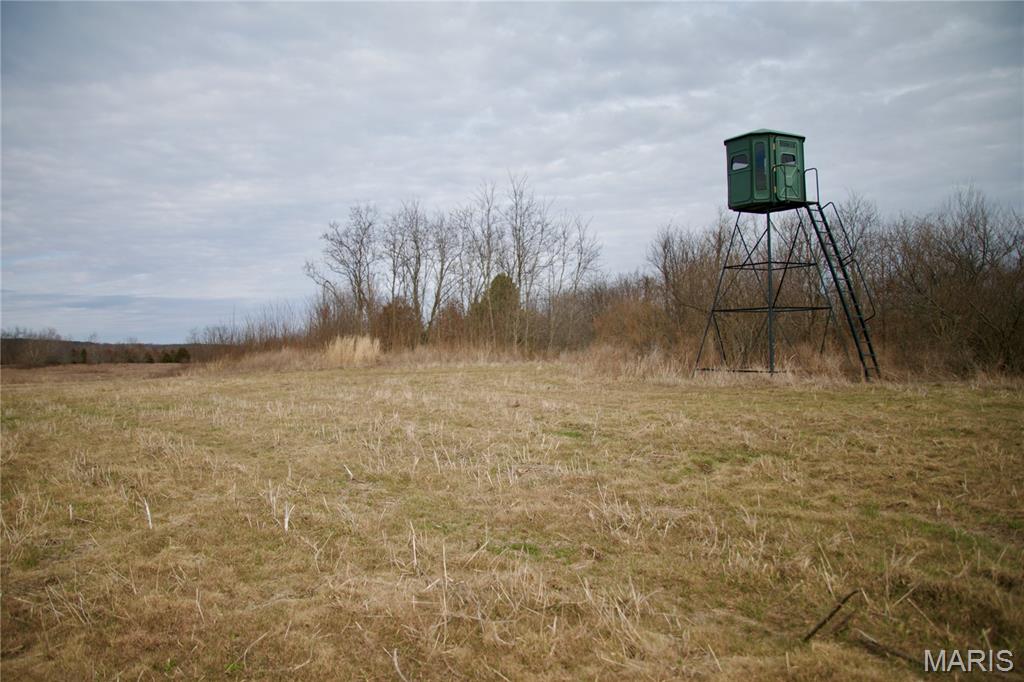 0 Kedron Road Equality, IL 62934 - Photo 51 of 70