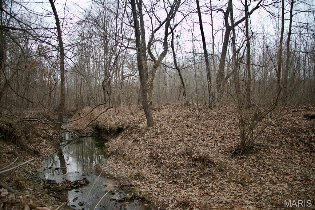 0 Kedron Road Equality, IL 62934 - Photo 52 of 70