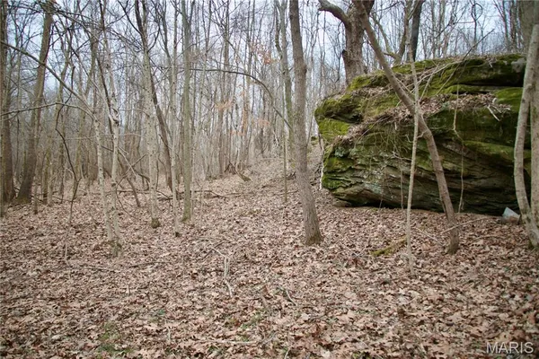 $2,600,000 | 0 Kedron Road, Equality, IL 62934