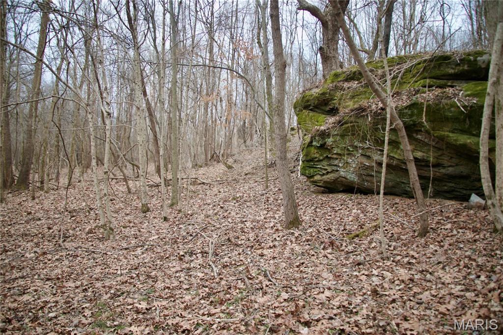 0 Kedron Road Equality, IL 62934 - Photo 53 of 70