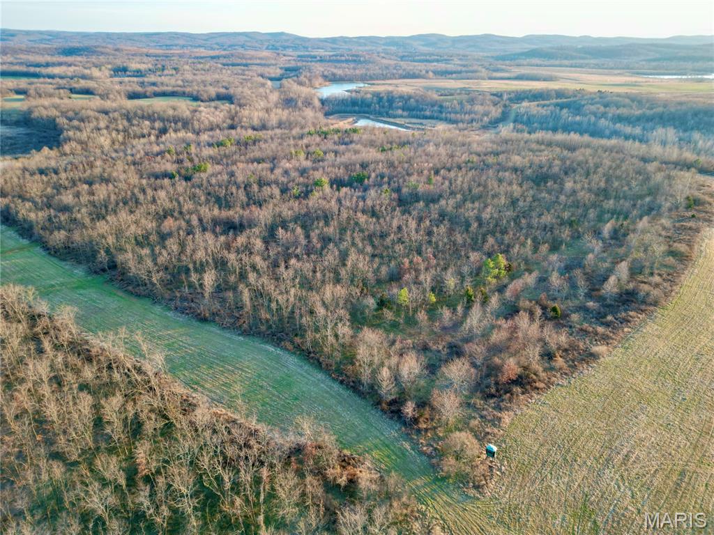 0 Kedron Road Equality, IL 62934 - Photo 54 of 70