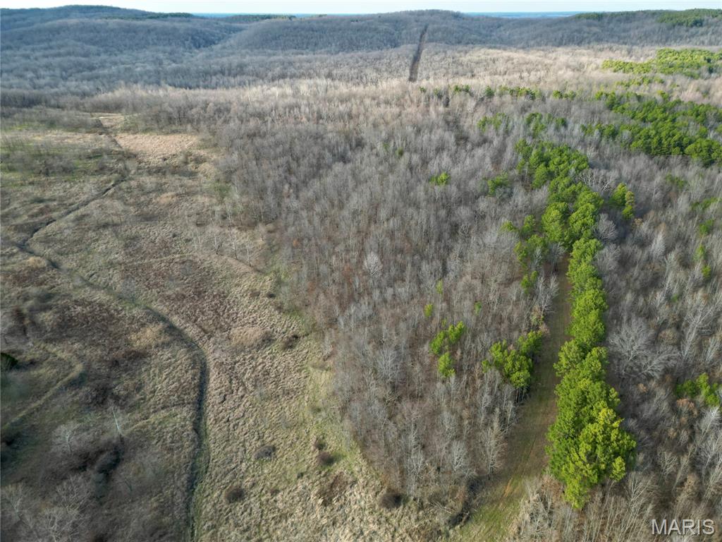 0 Kedron Road Equality, IL 62934 - Photo 57 of 70