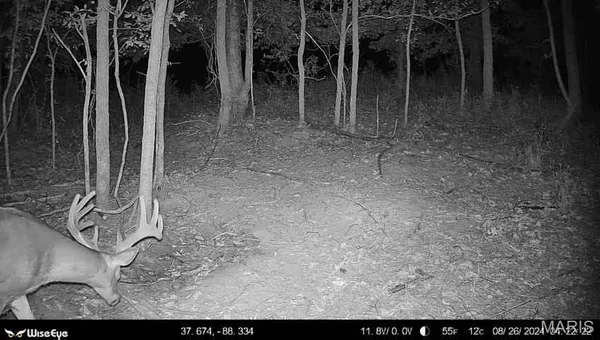 $2,600,000 | 0 Kedron Road, Equality, IL 62934