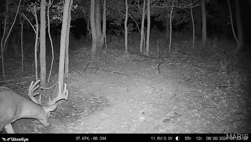 0 Kedron Road Equality, IL 62934 - Photo 59 of 70