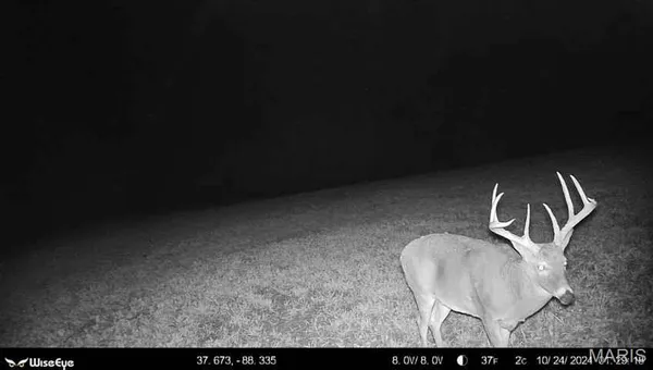 $2,600,000 | 0 Kedron Road, Equality, IL 62934