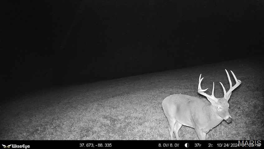 0 Kedron Road Equality, IL 62934 - Photo 60 of 70