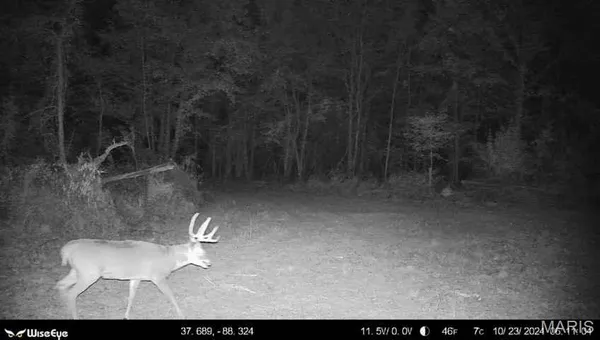 $2,600,000 | 0 Kedron Road, Equality, IL 62934