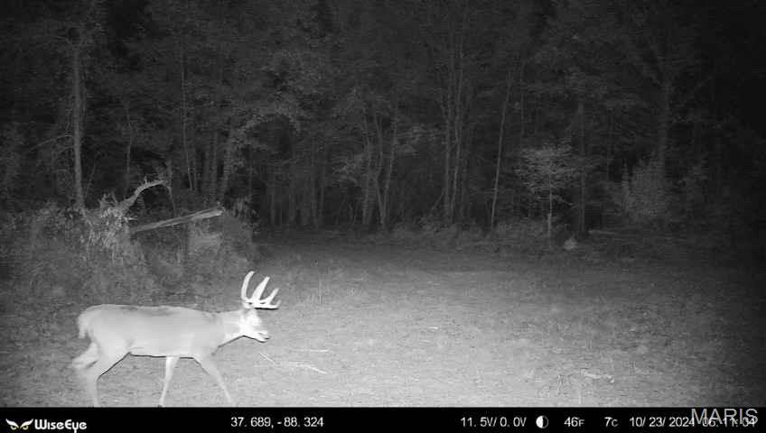 0 Kedron Road Equality, IL 62934 - Photo 61 of 70