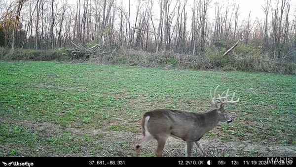 $2,600,000 | 0 Kedron Road, Equality, IL 62934