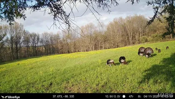 $2,600,000 | 0 Kedron Road, Equality, IL 62934