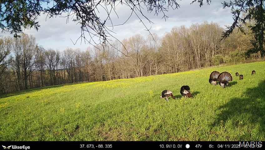 0 Kedron Road Equality, IL 62934 - Photo 63 of 70