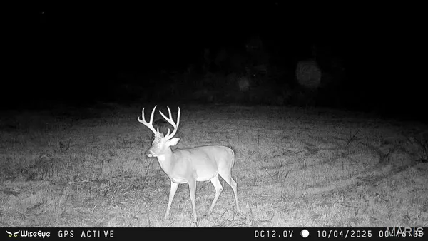 $2,600,000 | 0 Kedron Road, Equality, IL 62934