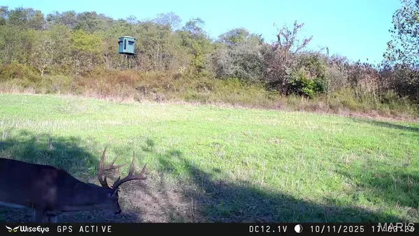 $2,600,000 | 0 Kedron Road, Equality, IL 62934