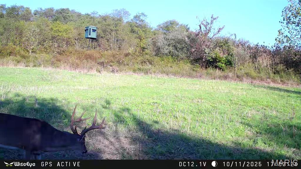 0 Kedron Road Equality, IL 62934 - Photo 65 of 70