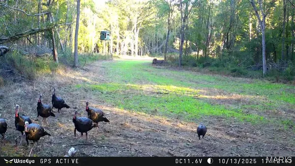 $2,600,000 | 0 Kedron Road, Equality, IL 62934