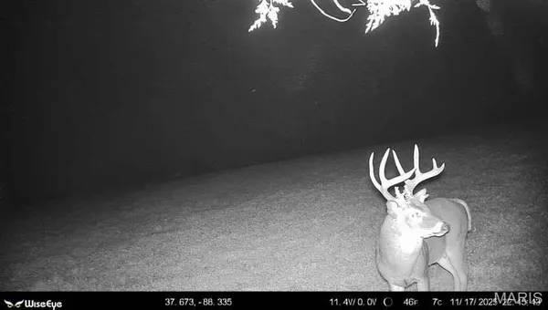 $2,600,000 | 0 Kedron Road, Equality, IL 62934