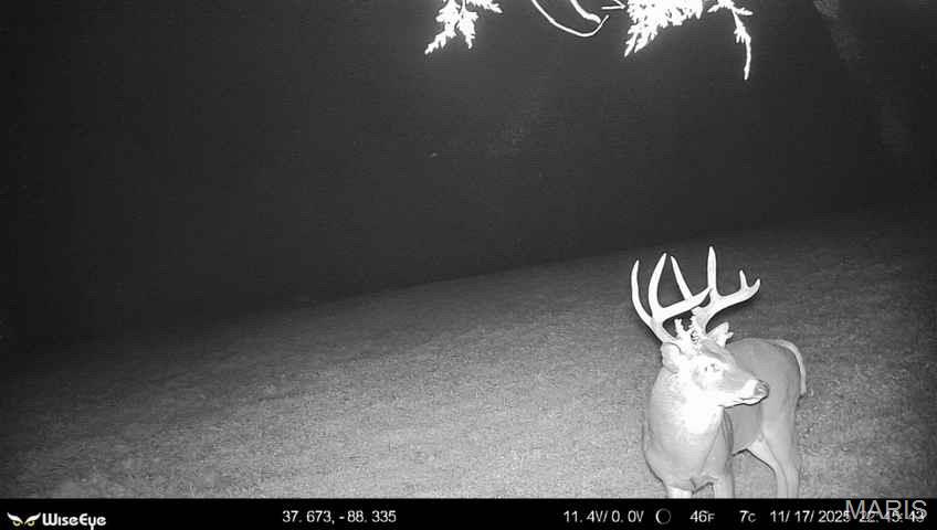 0 Kedron Road Equality, IL 62934 - Photo 67 of 70