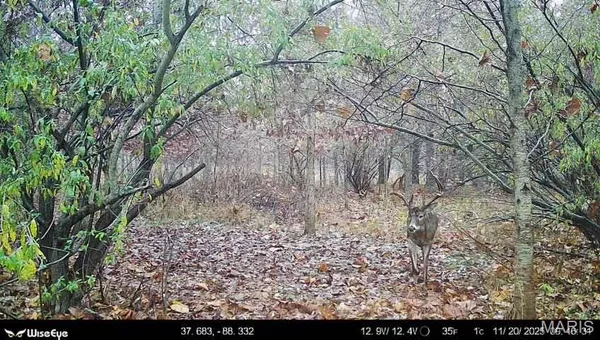 $2,600,000 | 0 Kedron Road, Equality, IL 62934