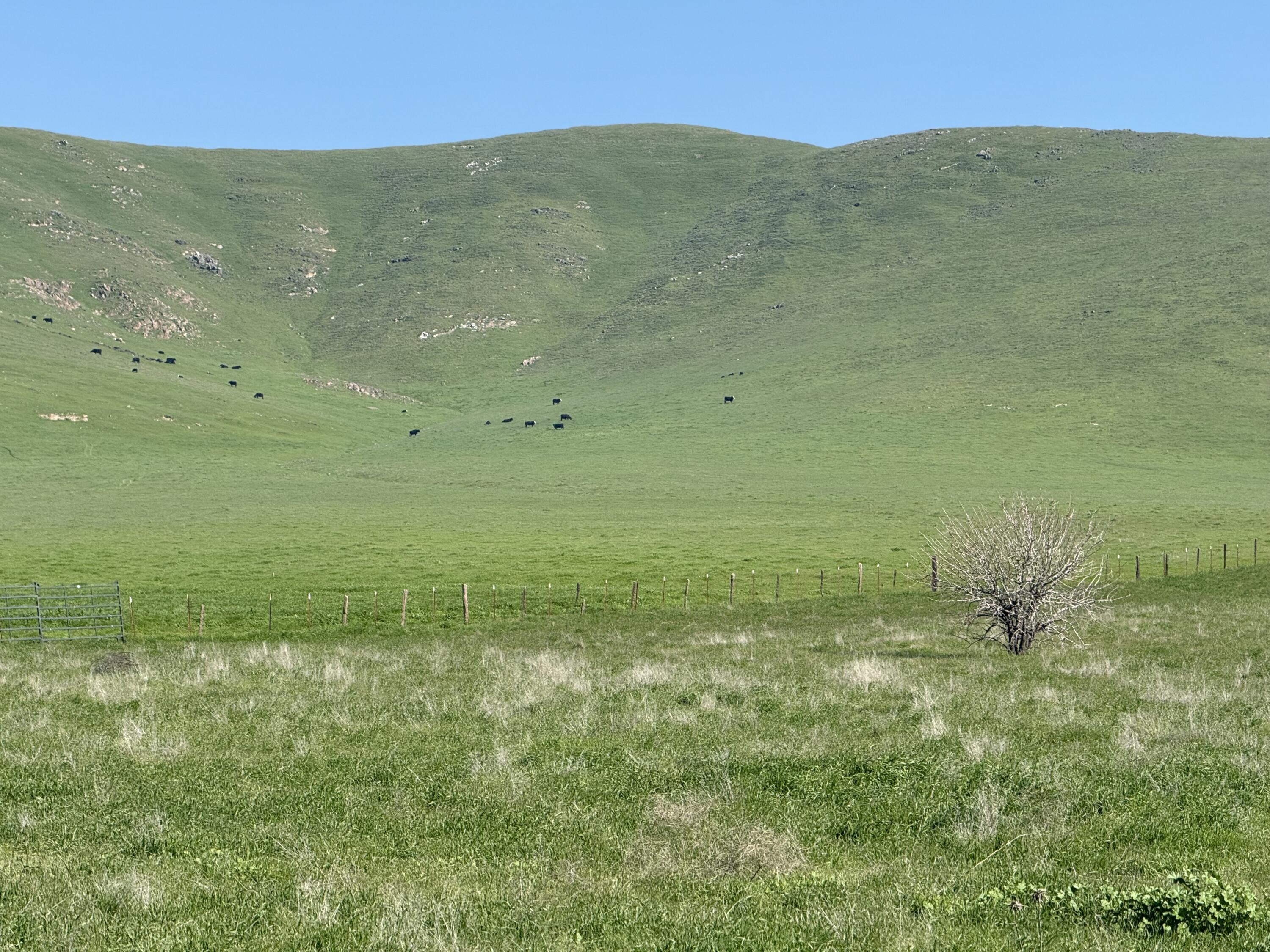 Old Stage Road Porterville, CA 93257 - Photo 6 of 9 IMG_3926