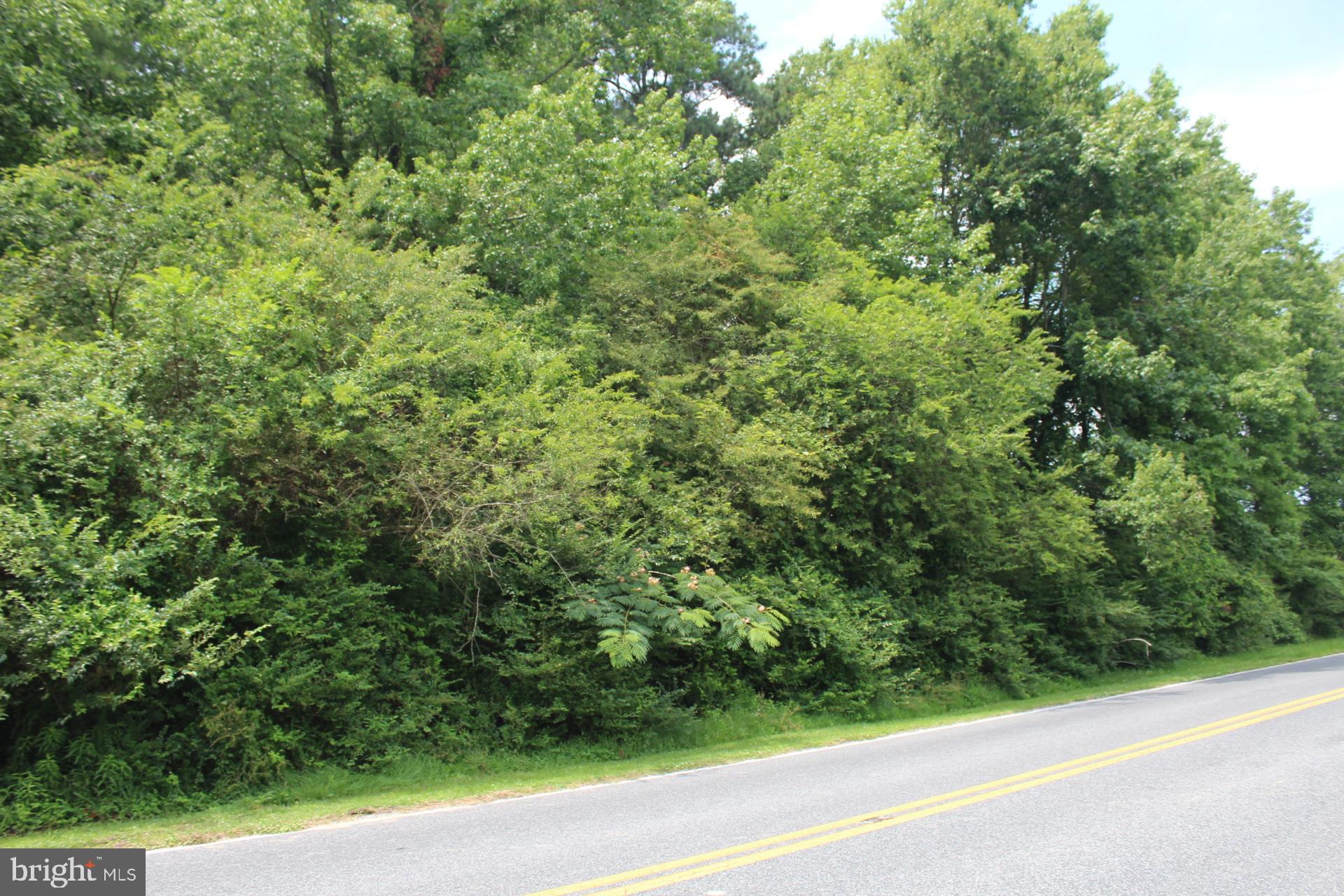 167 Cedar Hall Road Pocomoke City, MD 21851 - Photo 1 of 7