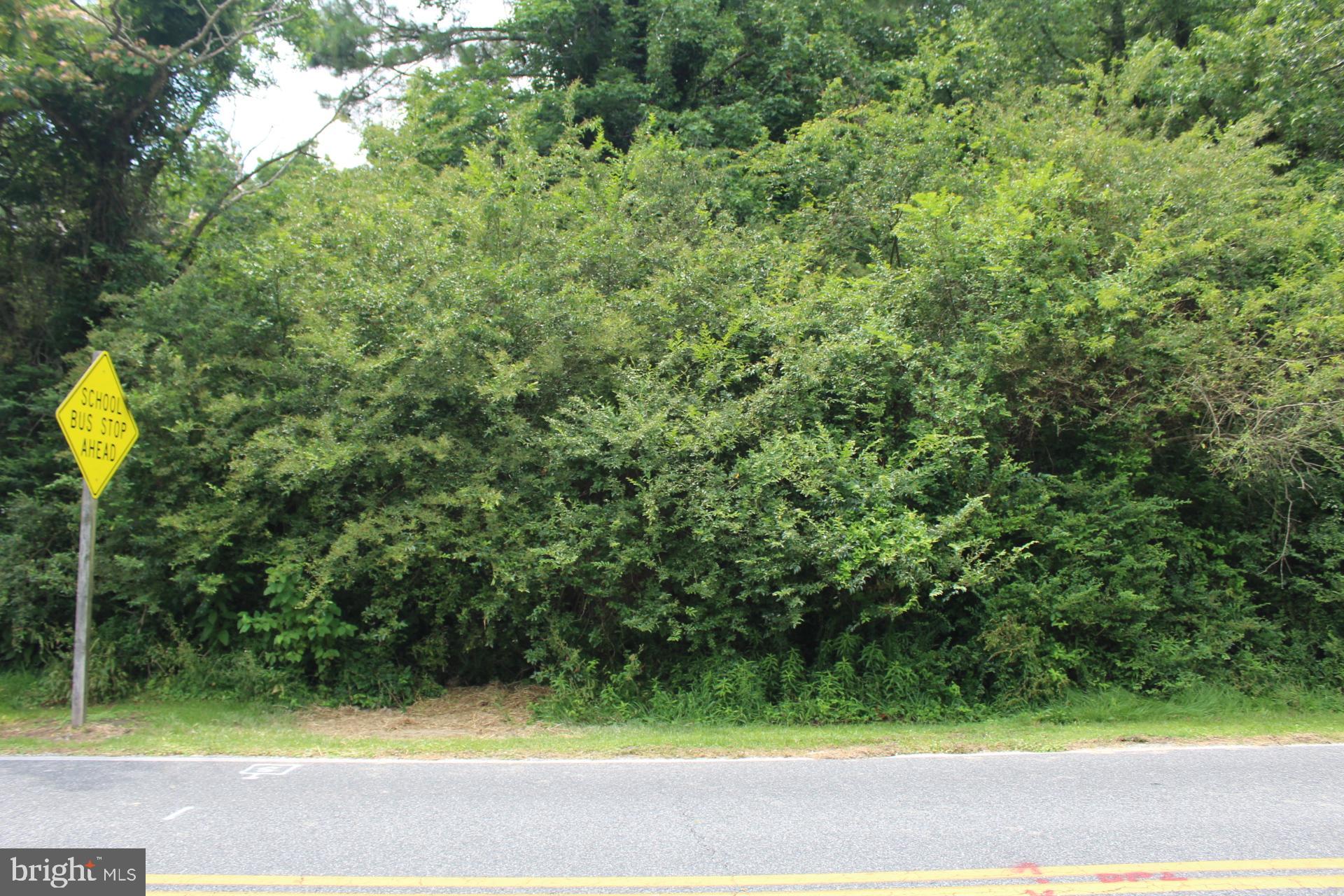 167 Cedar Hall Road Pocomoke City, MD 21851 - Photo 2 of 7