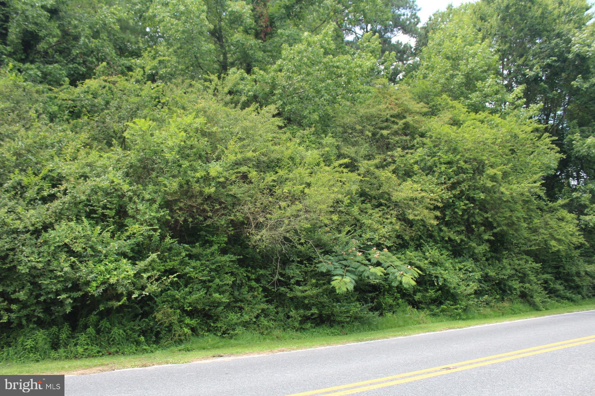 167 Cedar Hall Road Pocomoke City, MD 21851 - Photo 3 of 7