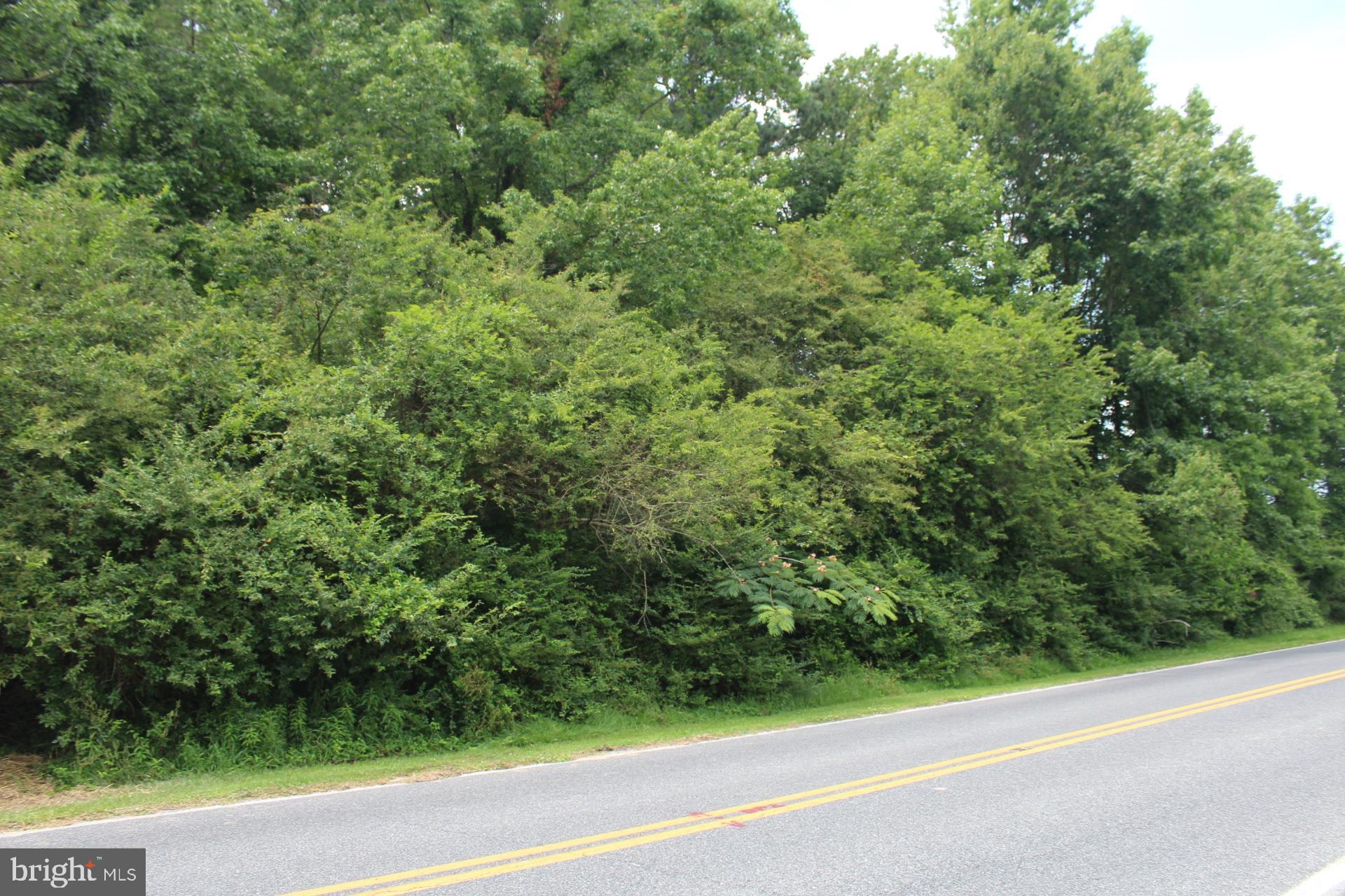 167 Cedar Hall Road Pocomoke City, MD 21851 - Photo 4 of 7