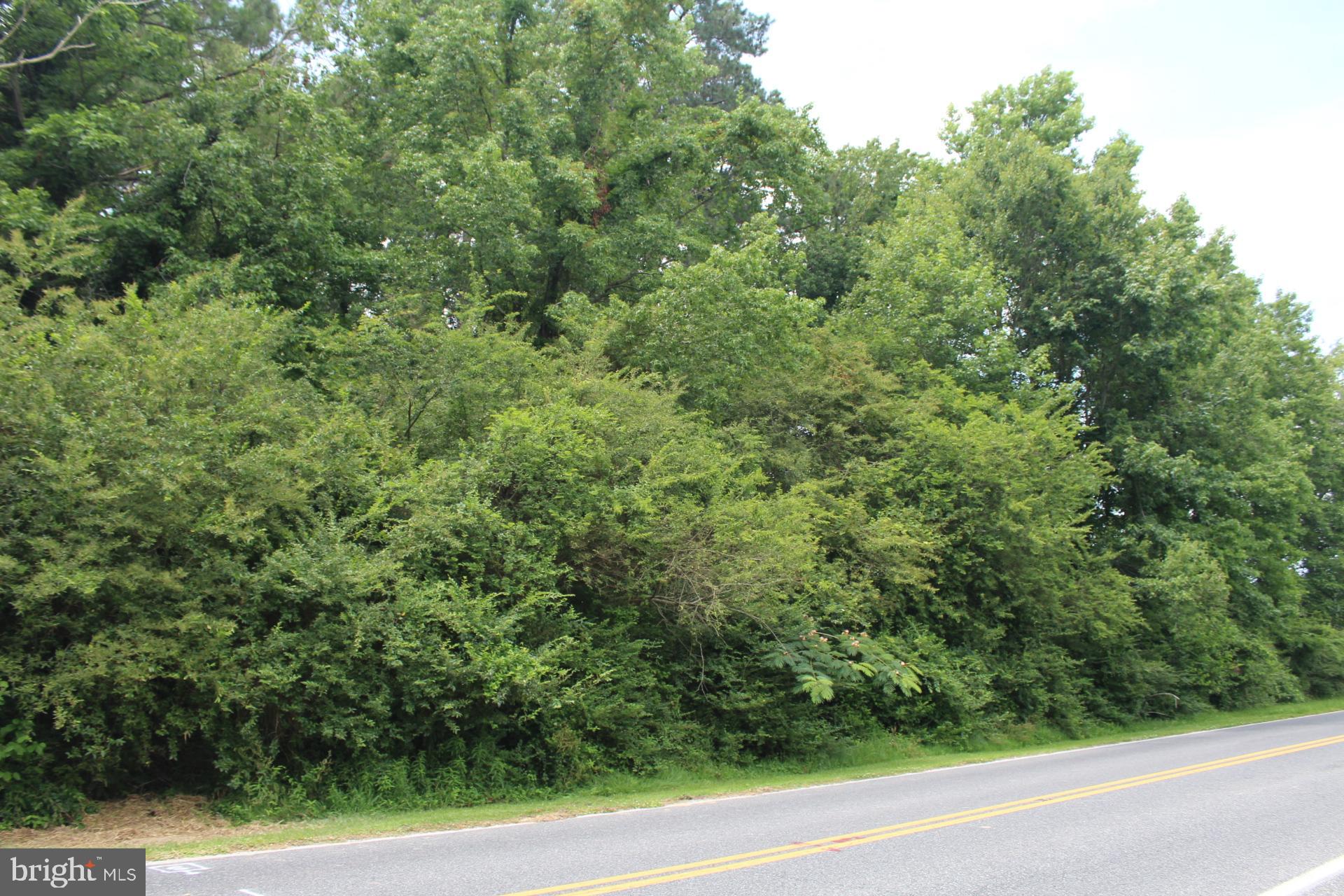 167 Cedar Hall Road Pocomoke City, MD 21851 - Photo 5 of 7