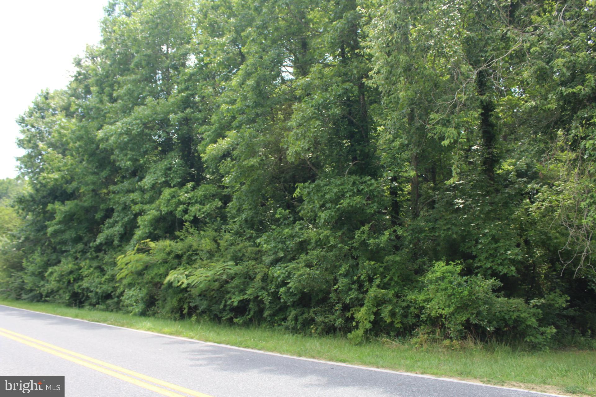 167 Cedar Hall Road Pocomoke City, MD 21851 - Photo 6 of 7