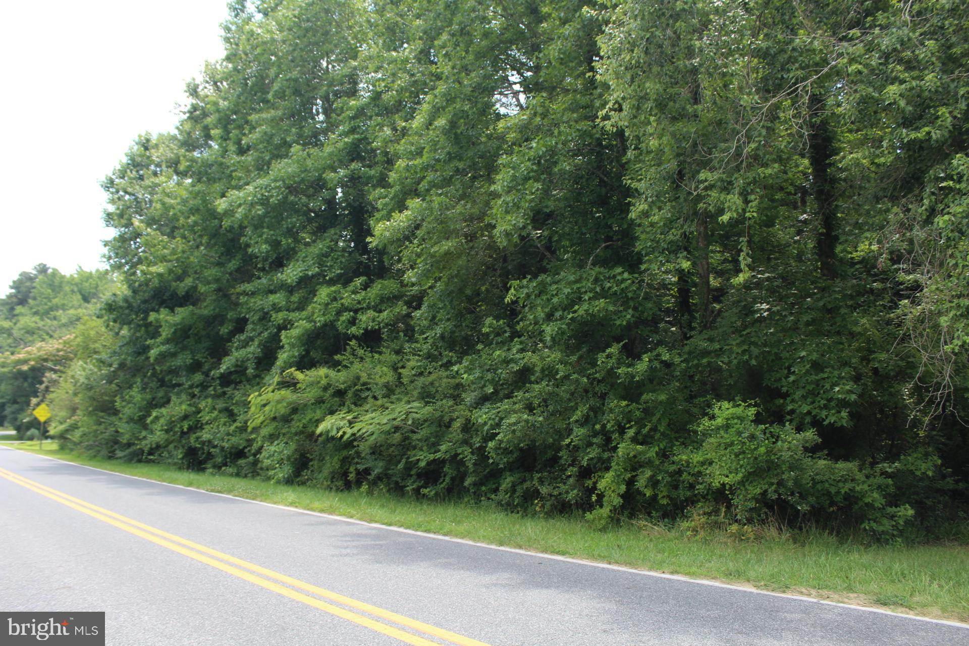 167 Cedar Hall Road Pocomoke City, MD 21851 - Photo 7 of 7