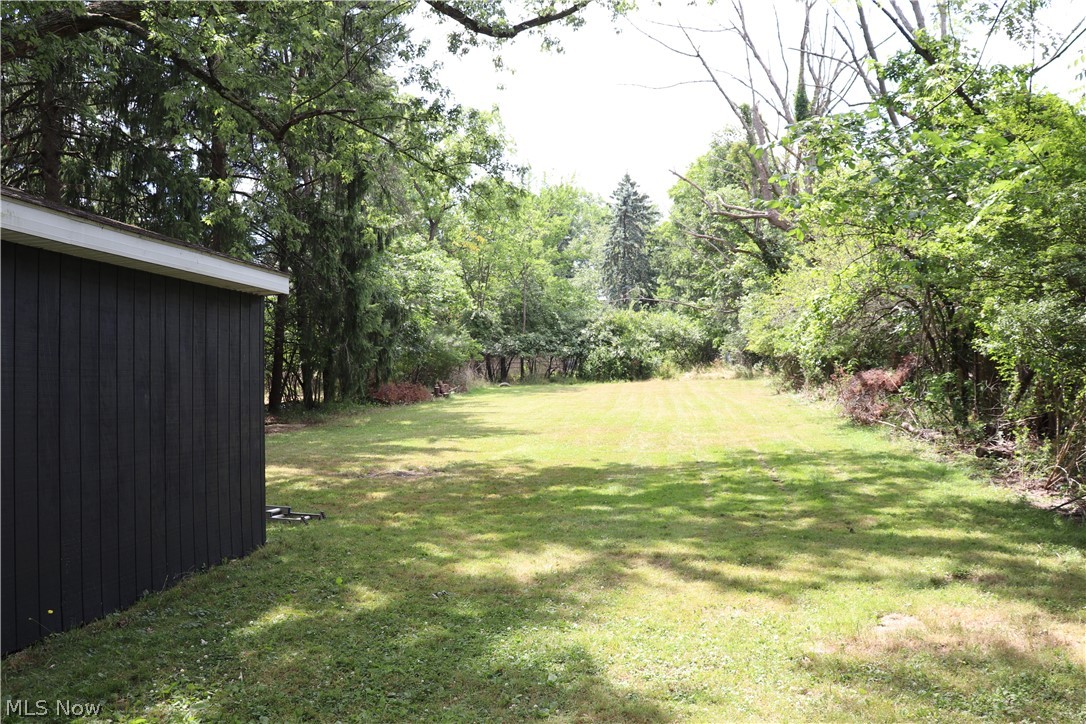 View of backyard from back of home