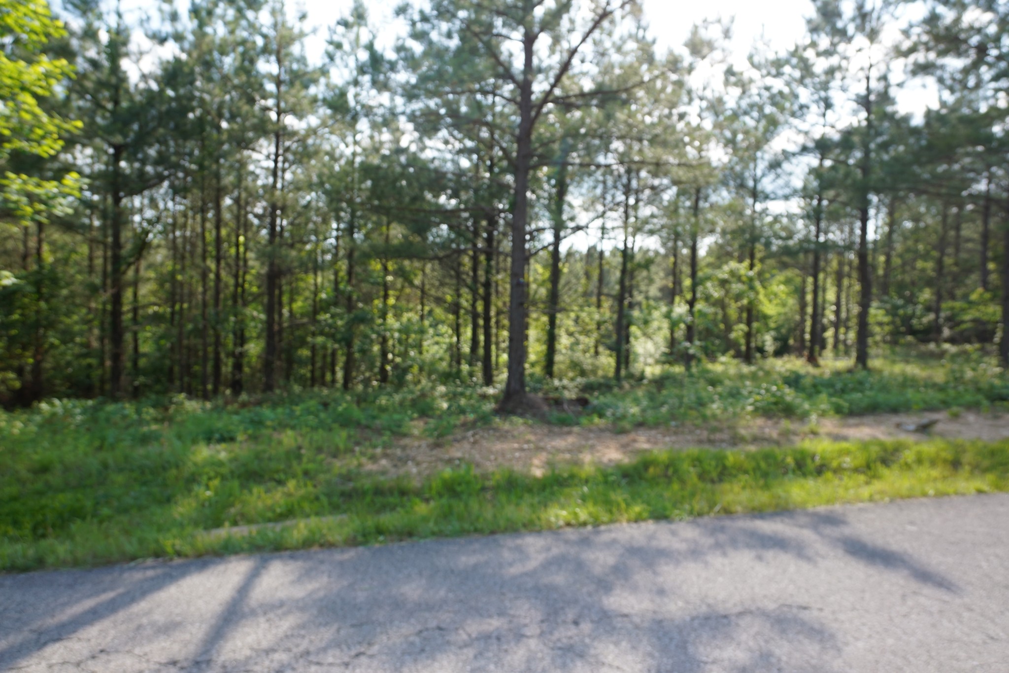 5 Cottrell Ridge Road Dover, TN 37058 - Photo 1 of 17 Gallery Image 1