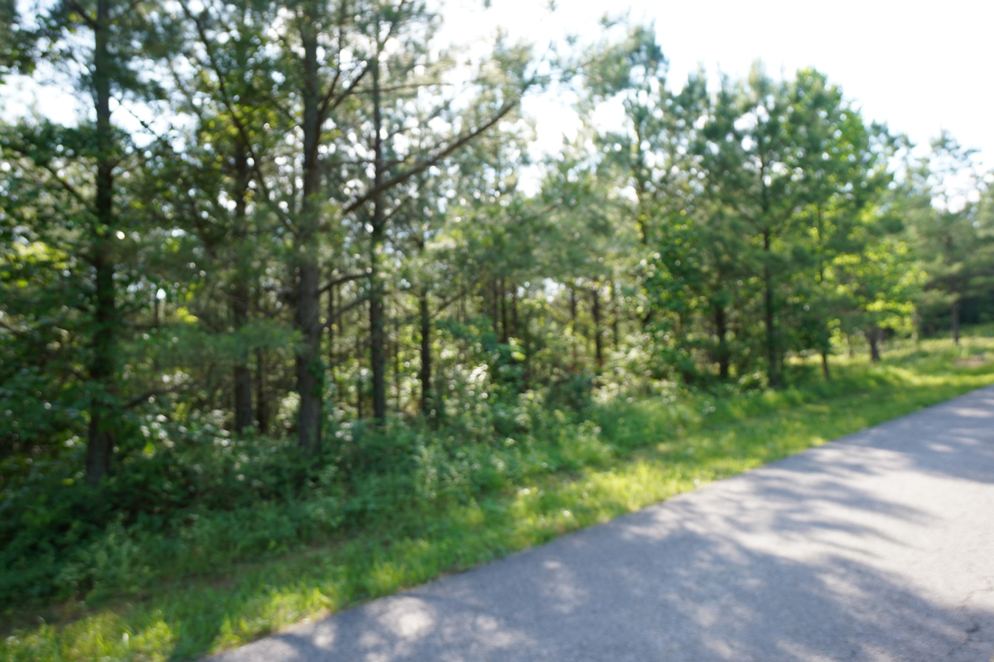 5 Cottrell Ridge Road Dover, TN 37058 - Photo 2 of 17 Gallery Image 2