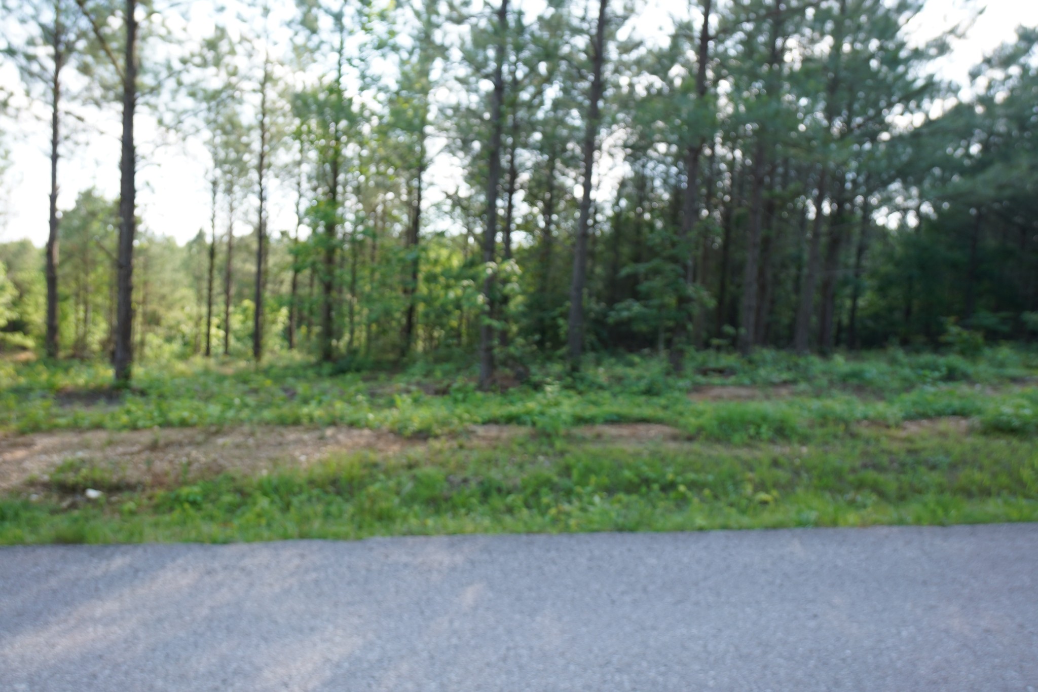 5 Cottrell Ridge Road Dover, TN 37058 - Photo 4 of 17 Gallery Image 4