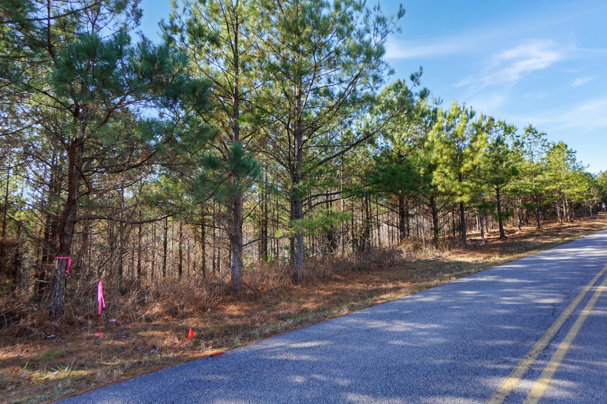 5 Cottrell Ridge Road Dover, TN 37058 - Photo 6 of 17 Gallery Image 6