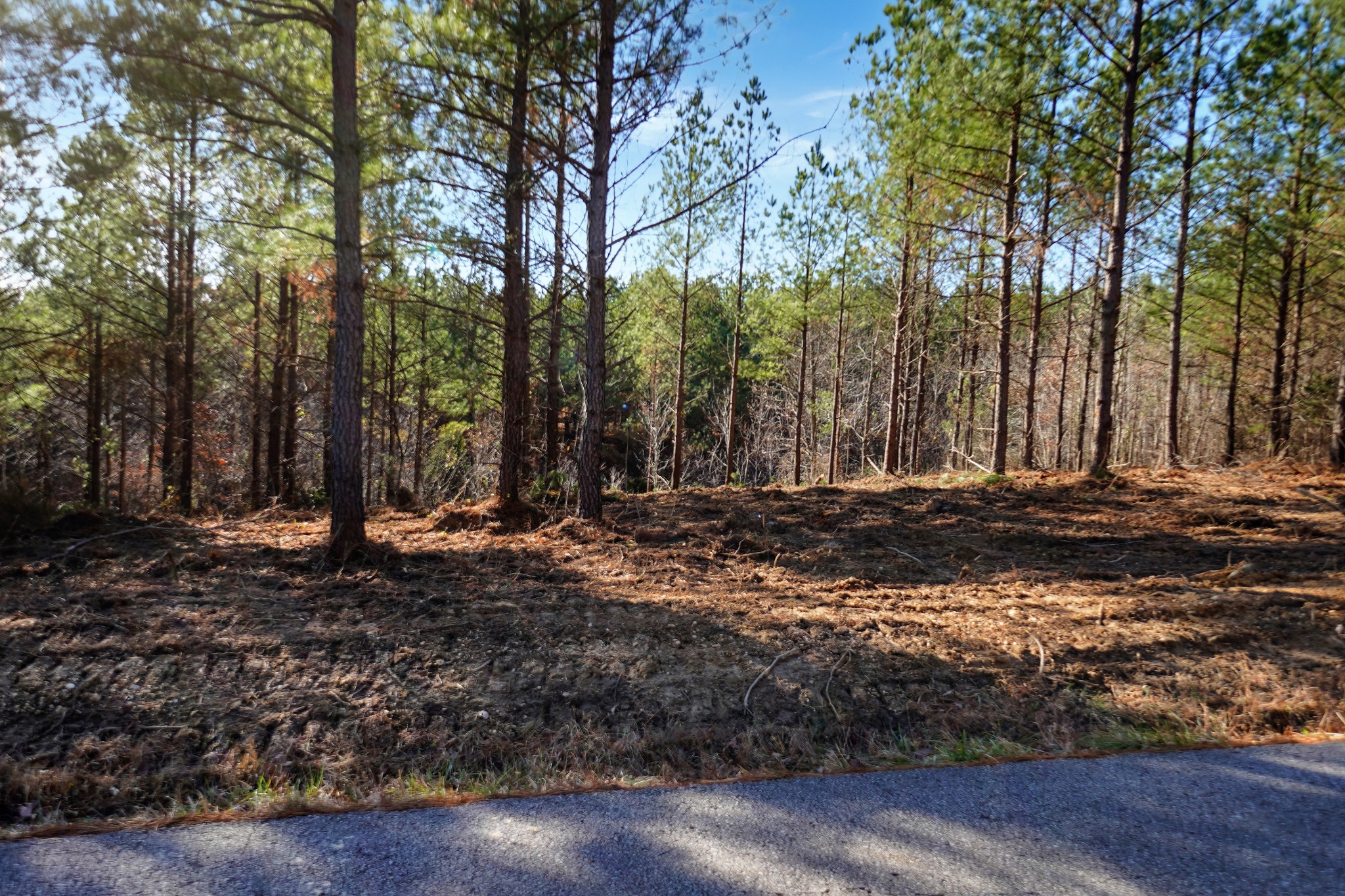 5 Cottrell Ridge Road Dover, TN 37058 - Photo 7 of 17 Gallery Image 7