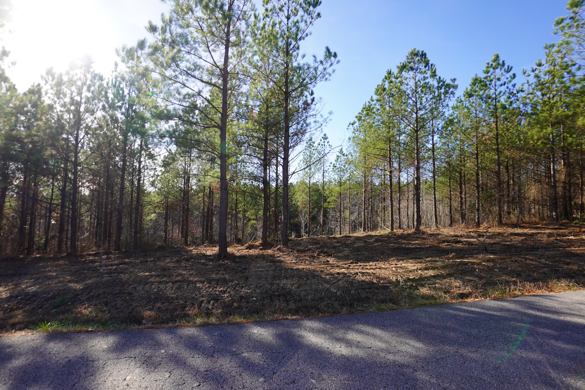 5 Cottrell Ridge Road Dover, TN 37058 - Photo 10 of 17 Gallery Image 10